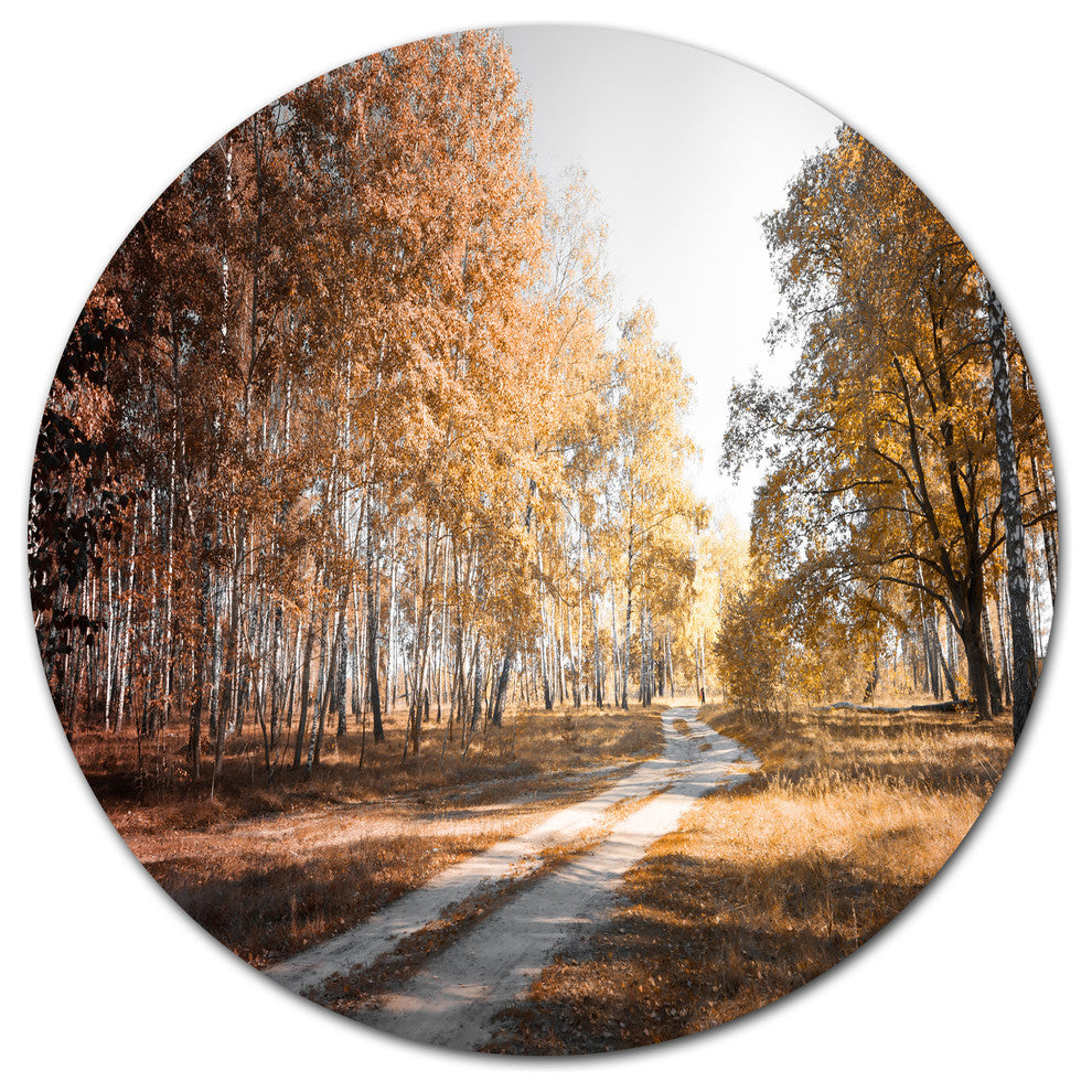 Straight Road In Fall Birch Grove, Forest Disc Metal Wall Art, 23"