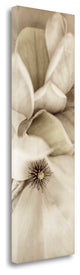 "Florison - 70" By Alan Blaustein, Giclee Print on Gallery Wrap Canvas