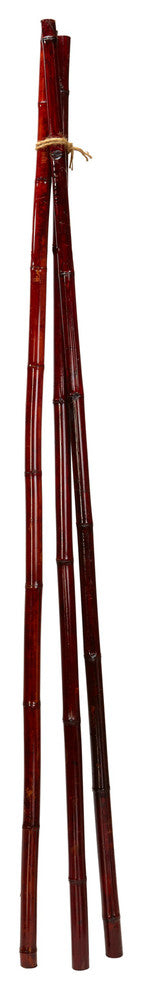 Bamboo Poles, Set of 6