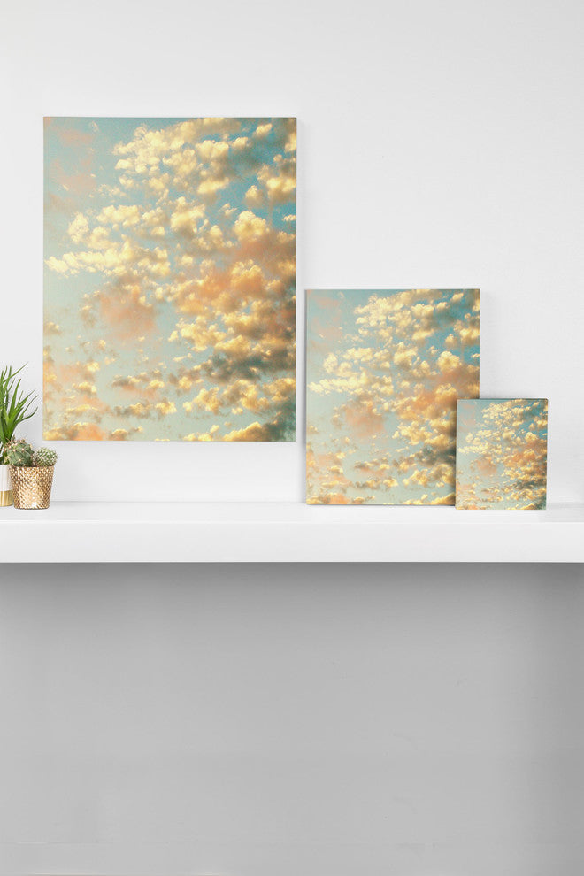 Deny Designs Shannon Clark Softly Art Canvas