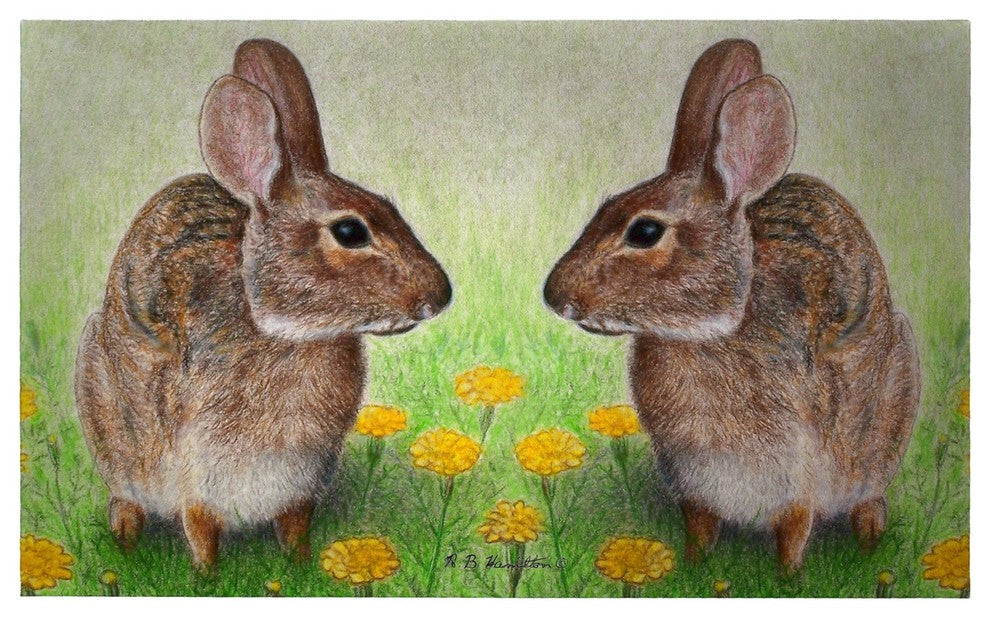 Betsy Drake Rabbits Door Mat 30x50