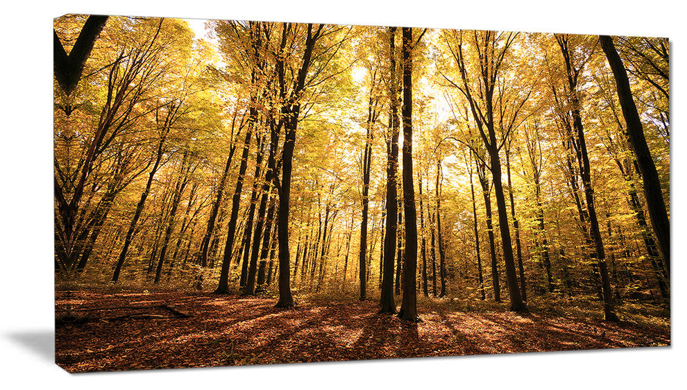 Setting Sun over Dense Fall Forest, Modern Forest Canvas Art, 32"x16"