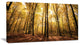 Setting Sun over Dense Fall Forest, Modern Forest Canvas Art, 32"x16"