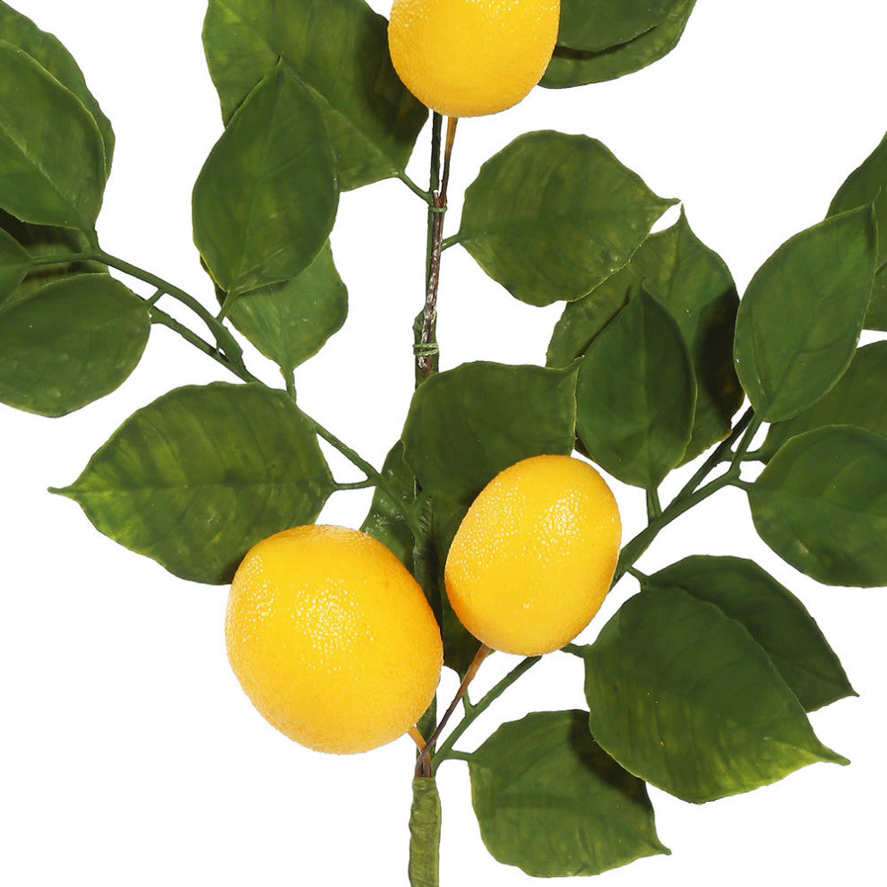 Vickerman FK170703 6' Artificial Green and Yellow Salal Leaf Lemon Garland