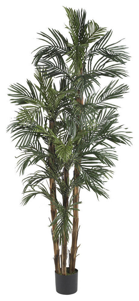 6' Robellini Palm Silk Tree
