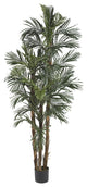 6' Robellini Palm Silk Tree