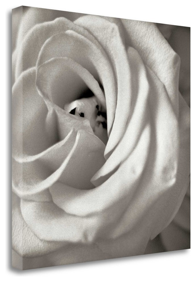 "Florison - 43" By Alan Blaustein, Giclee Print on Gallery Wrap Canvas