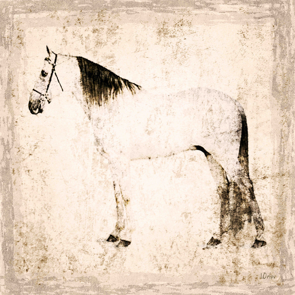 "White Horse" Painting Print on Canvas by Irena Orlov