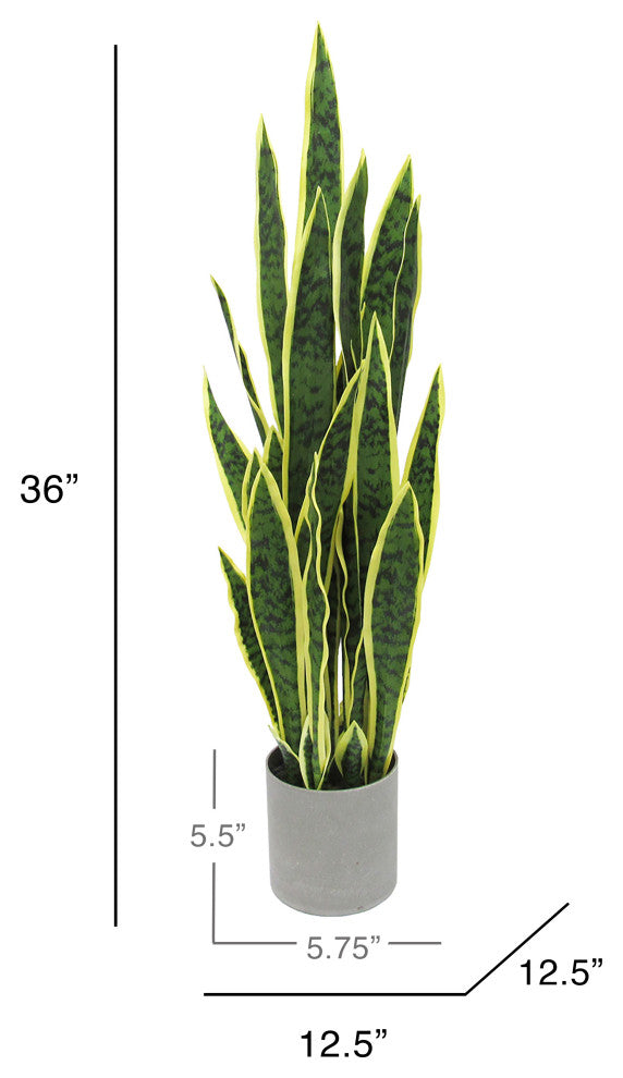 36" Green Yellow Artificial Sansevieria Snake Plant, Gray Pot