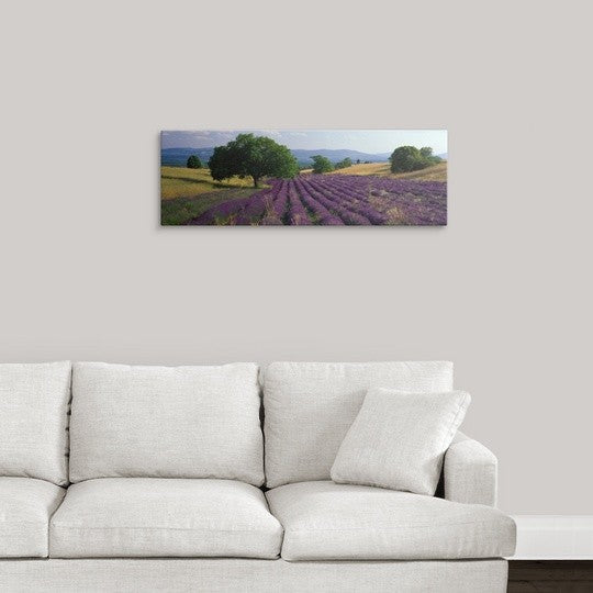 "Lavender Field La Drome Provence France" Canvas Art, 36"x12"x1.25"