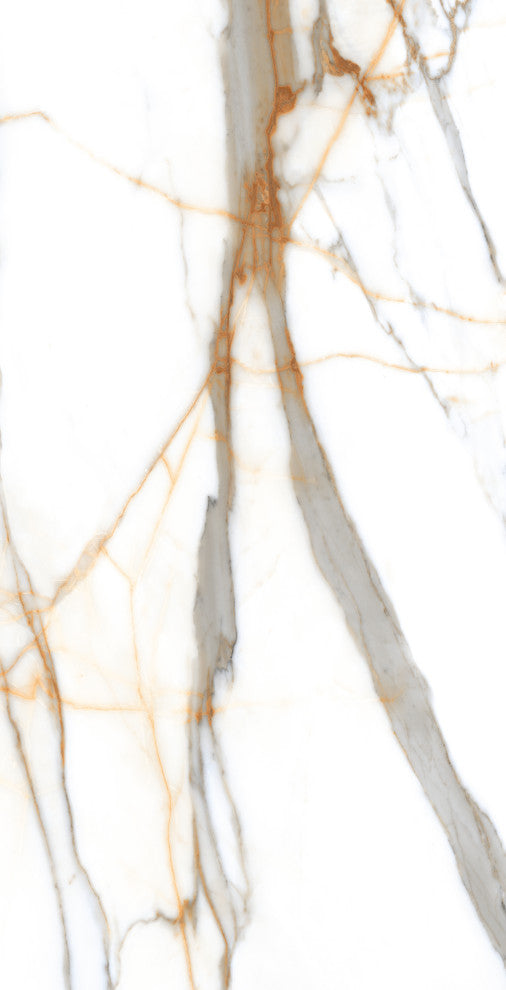 Calacatta Gold Porcelain Marble Look Matte Wall and Floor Tile, 24x48