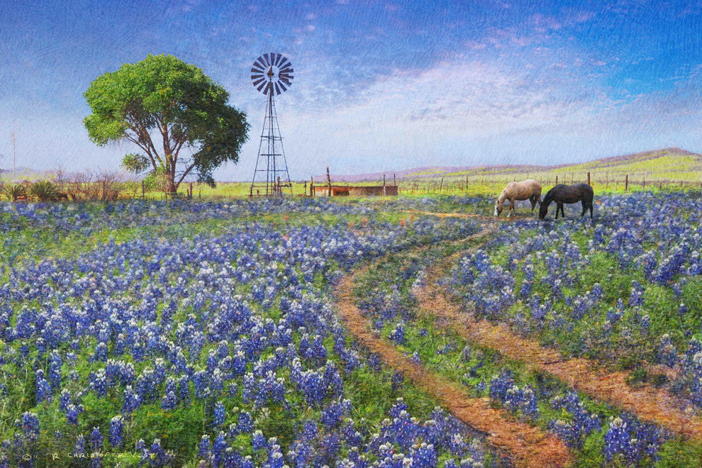 "Windmill Landscape" Painting Print on Canvas by Chris Vest