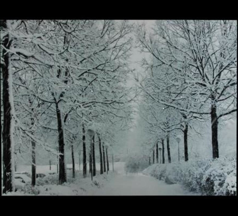 Fiber Optic Lighted Snowfall Winter Lane Christmas Canvas Wall Art
