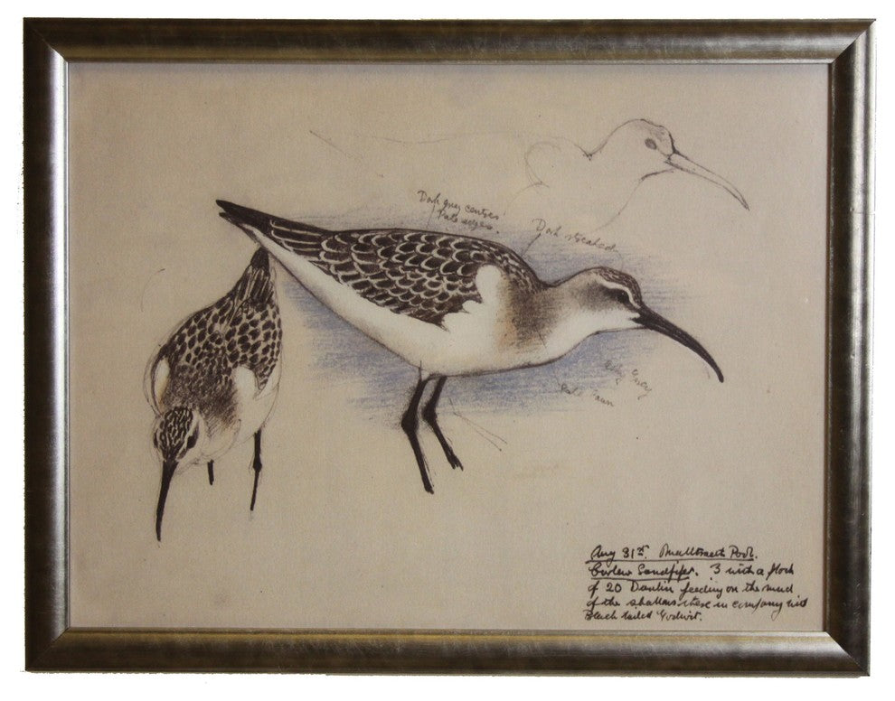 Two Sandpipers, Silver Frame