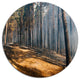 Fire In Forest With Flame And Smoke, Modern Forest Round Wall Art, 36"