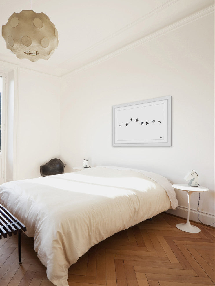 "The Squadron" Framed Print by Rachel Byler