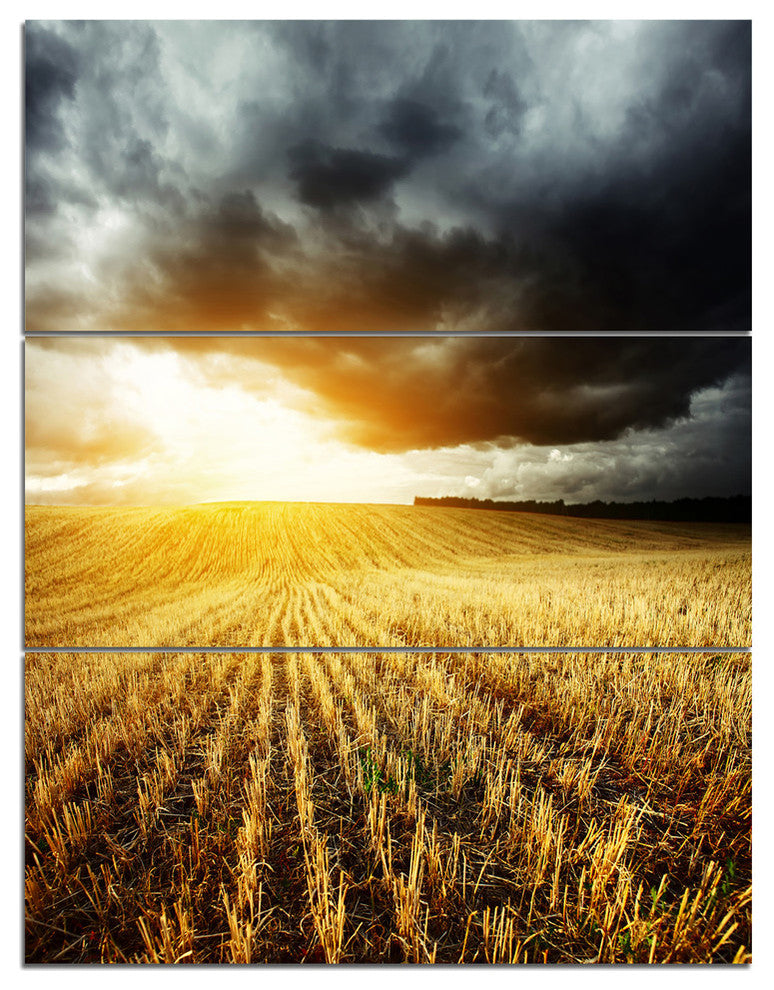 "Storm Dark Clouds Over Wheat Stems" Metal Wall Art, 3 Panels, 28"x36"