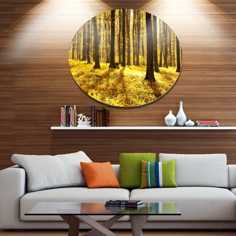 Bright Green Forest At Sunset, Forest Disc Metal Wall Art, 23"