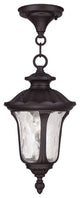 Oxford Outdoor Chain-Hang Light, Bronze