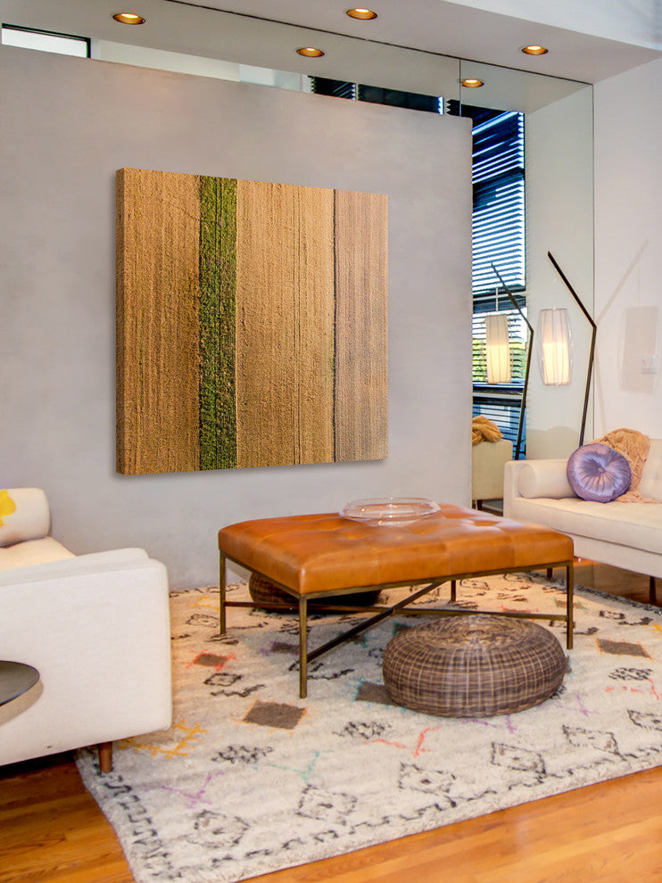 "Seeded Land" Print on Canvas by Karolis Janulis