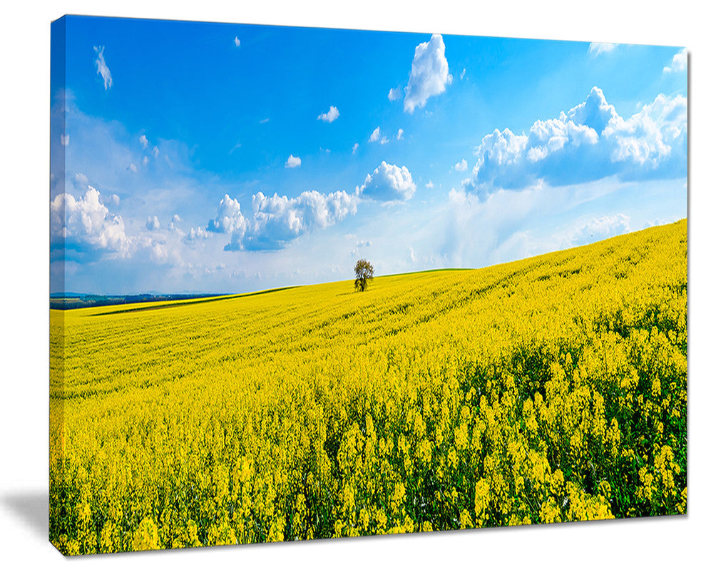 "Lone Tree in Blooming Cozla Park" Landscape Wall Art, 20"x12"