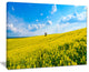 "Lone Tree in Blooming Cozla Park" Landscape Wall Art, 20"x12"