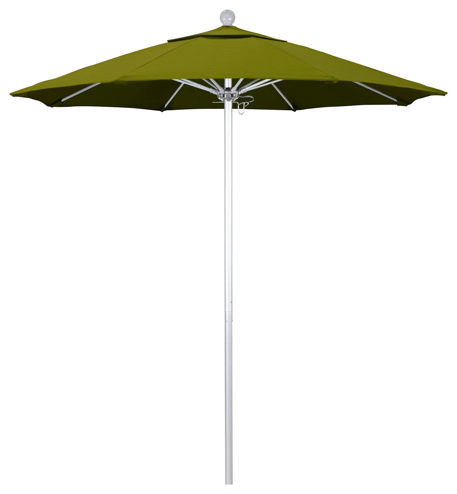 California Umbrella Venture Series, Ginkgo