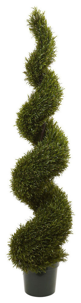 6' Rosemary Spiral Tree, Indoor/Outdoor
