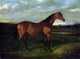 Sr. John Frederick Herring Manuella - 21" x 28" Premium Canvas Print
