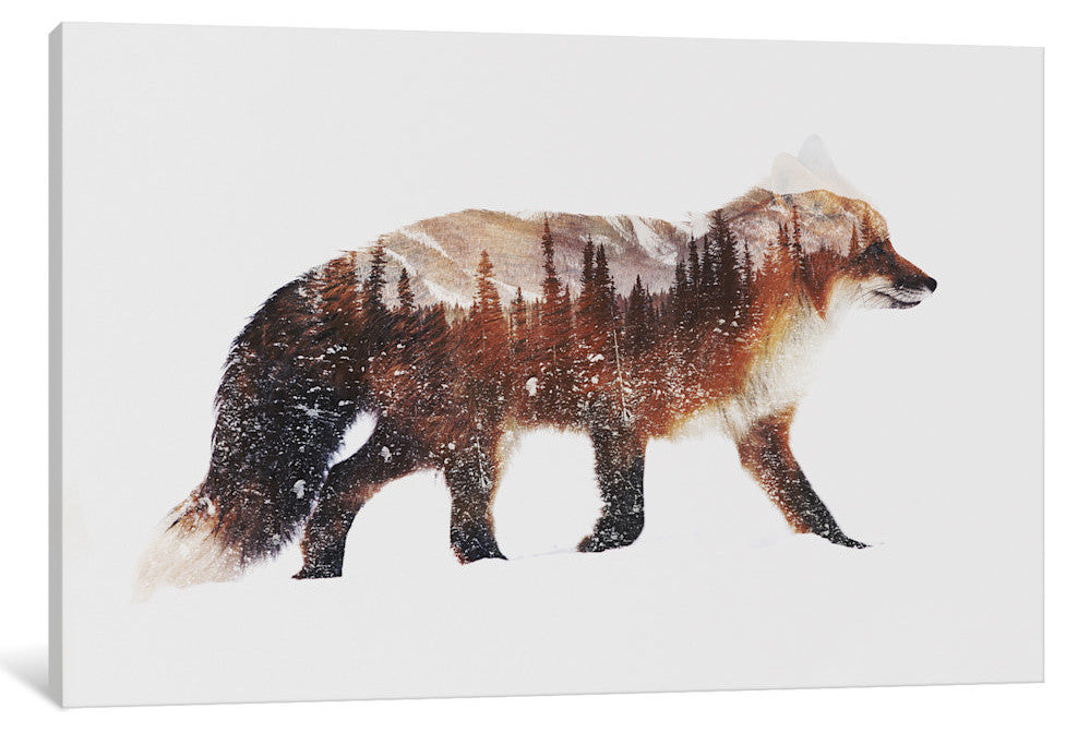 "Arctic Red Fox" by Andreas Lie, 18x12x1.5"