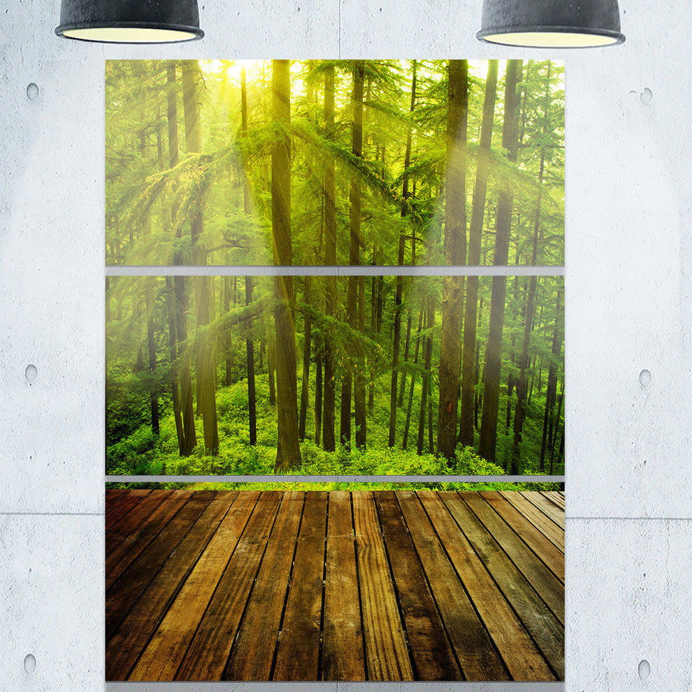 "Golden Sunlight in Pine Forest" Photo Metal Wall Art, 3 Panels, 28"x36"