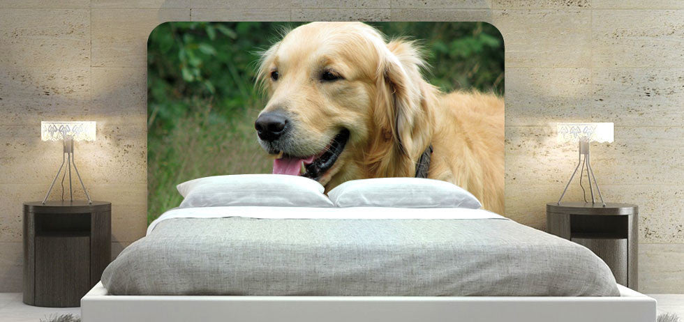 "Golden Retriever" Headboard