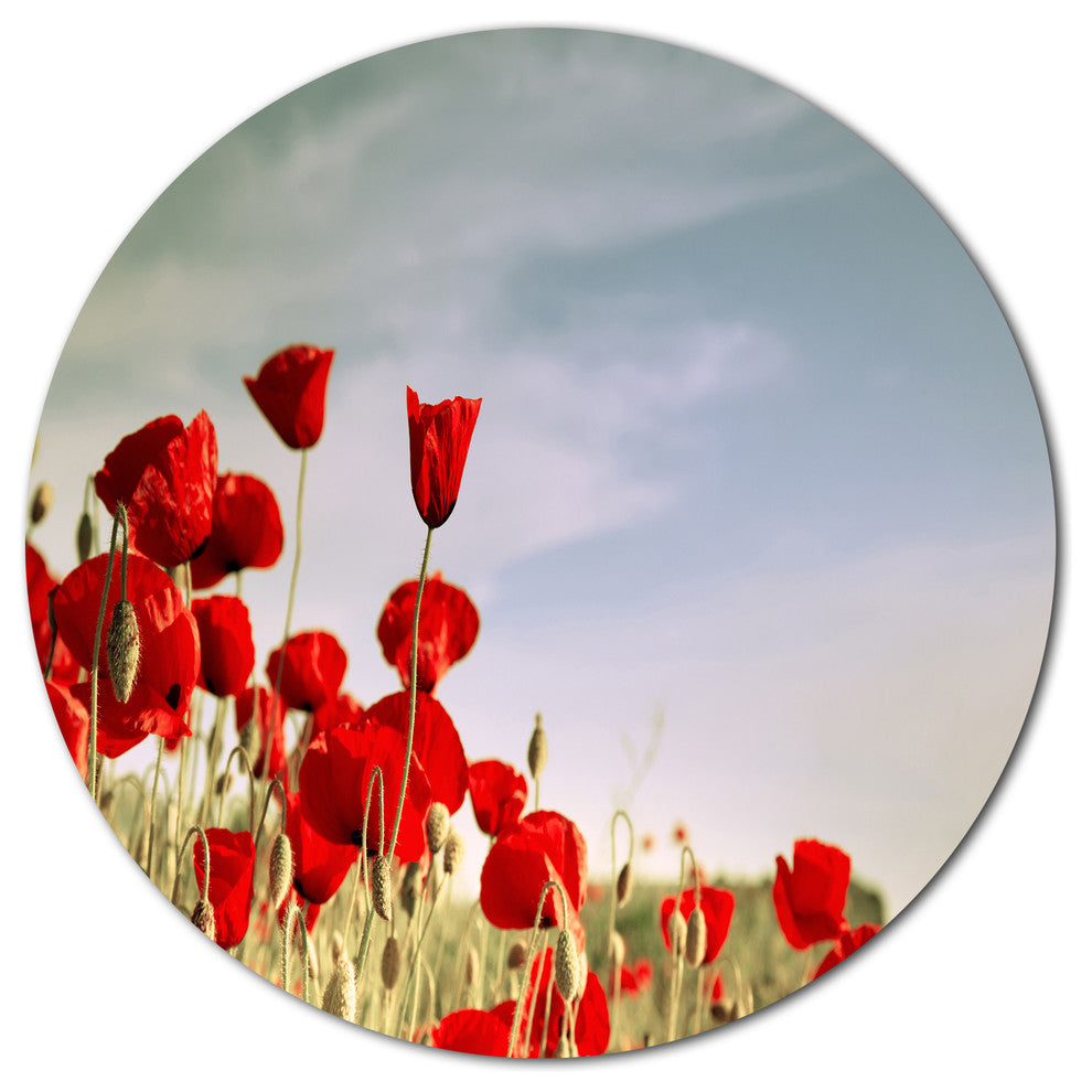 Flourishing Red Poppies, Flower Large Disc Metal Wall Art, 36"