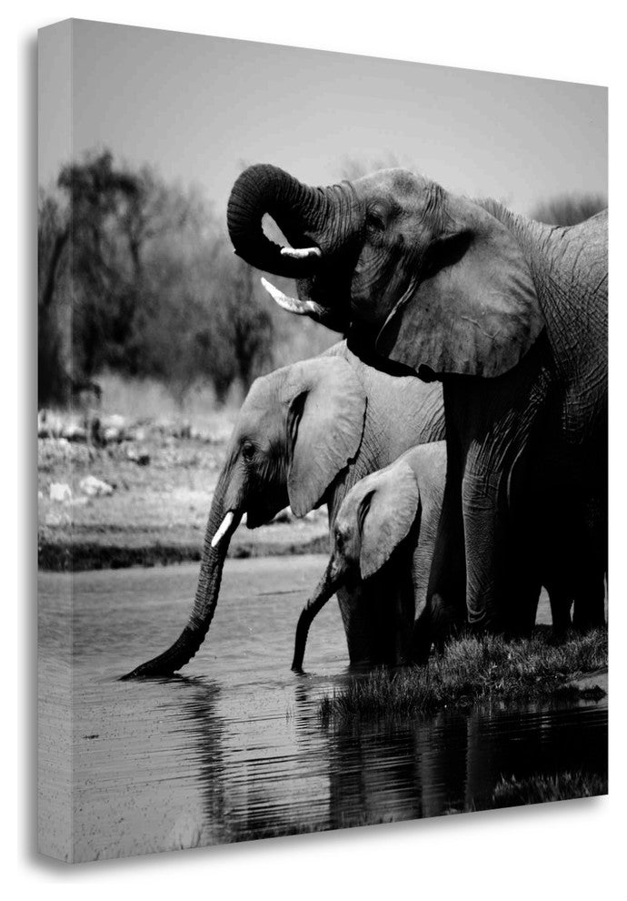 "Namibia Elephants" By Nina Papiorek, Giclee Print on Gallery Wrap Canvas