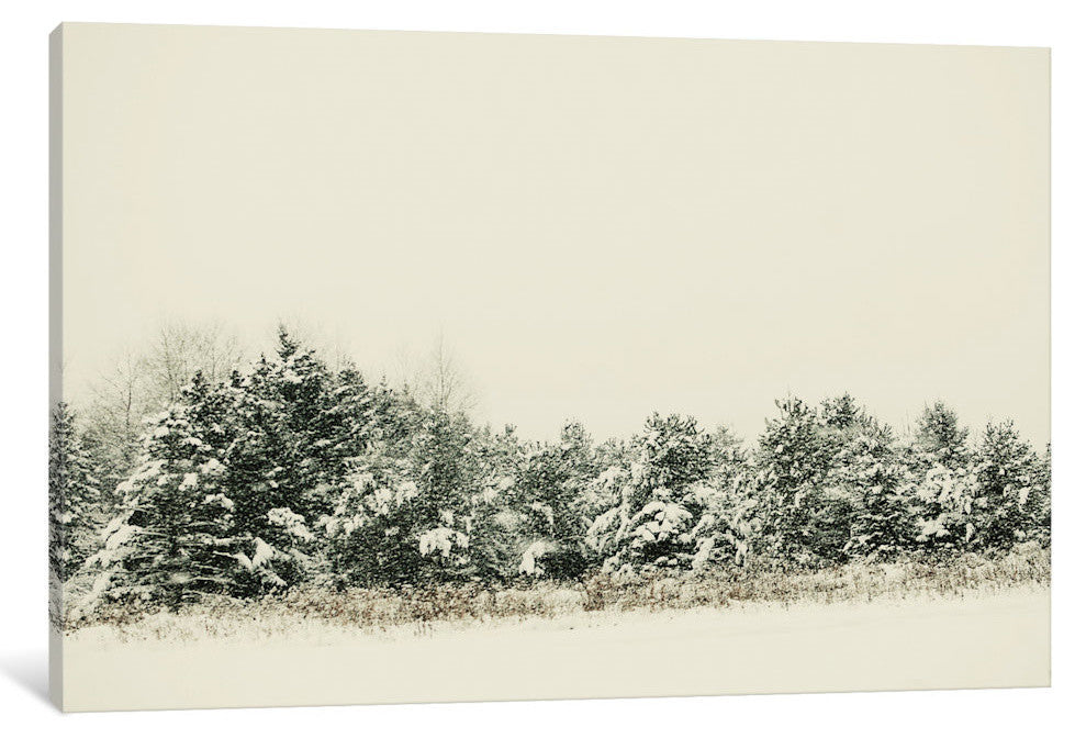 "Winter Shades I" by Chelsea Victoria, 18x12x1.5