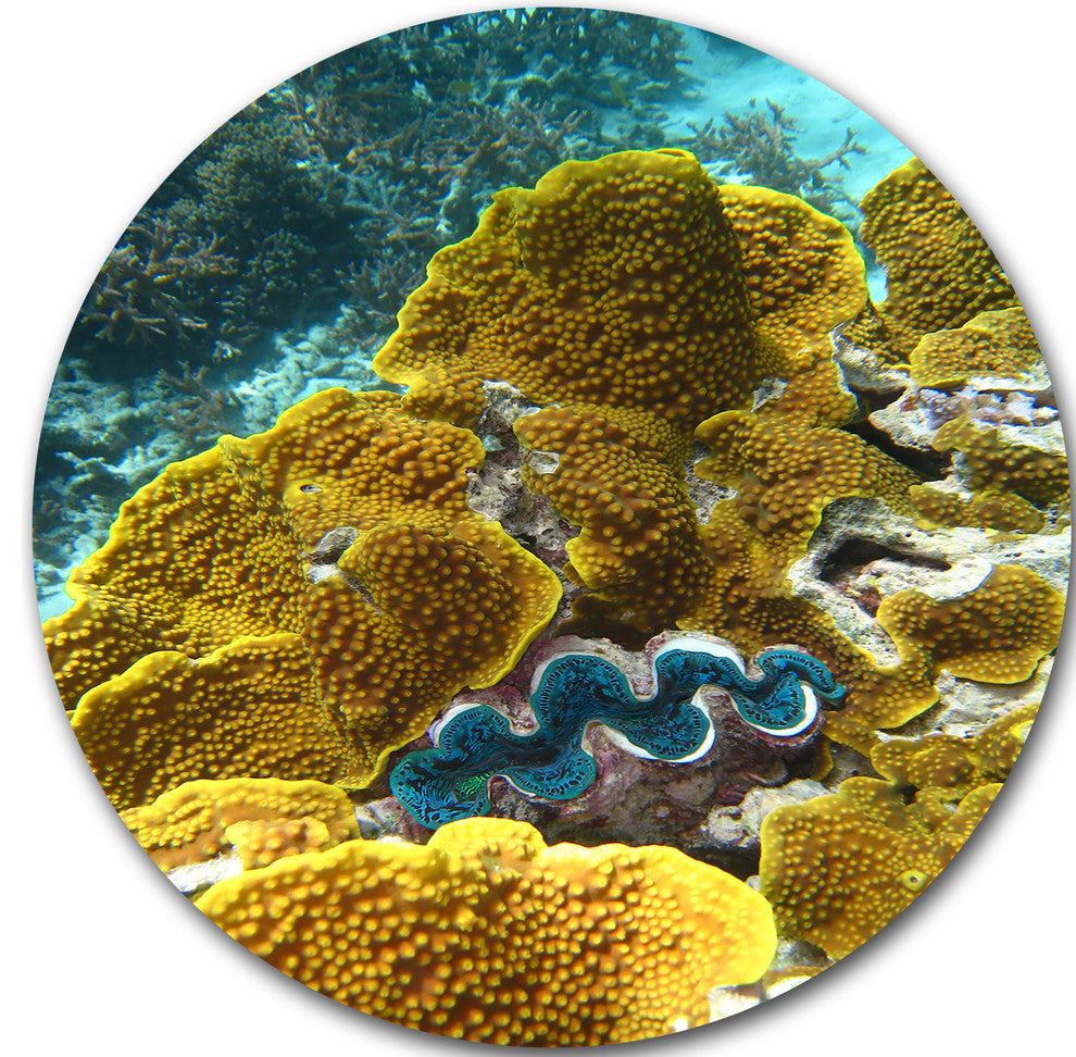 Barrier Reef Underwater Scene, Seascape Photo Round Wall Art, 11"