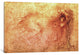 "Sketch of a Roaring Lion" by Leonardo da Vinci, 26x18x1.5"