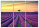 "Lavender Flower Rows in Provence" Metal Wall Art, 3 Panels, 36"x28"