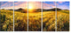 Beautiful Meadow Panorama, Landscape Canvas Art Print, 60"x28", 5 Panels