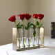 Metal Clustered Hanging Bud Vase Holder with 5 Glass Tubes, Antique Gold Finish