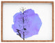 Deny Designs Morgan Kendall Delphinium Rectangular Tray