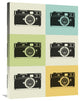 "Camera Grid" Poster Fine Art Print