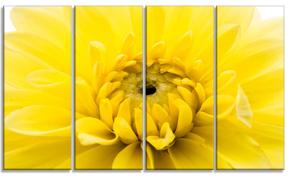 Yellow Chrysanthemum Gold Flower, Flower Artwork on Canvas, 48"x28", 4 Panels