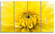 Yellow Chrysanthemum Gold Flower, Flower Artwork on Canvas, 48"x28", 4 Panels