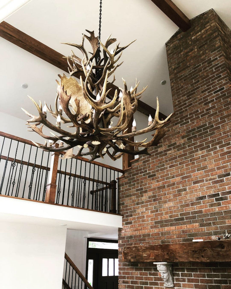 Real Antler Elk Canadian Jewel Deer Chandelier Light