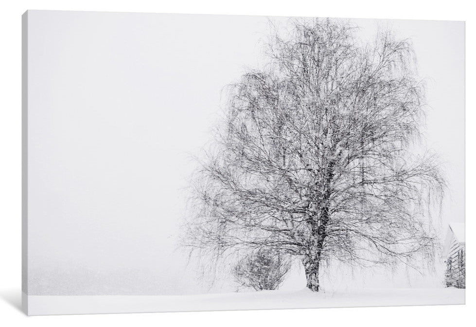 "Snow Again" by Chelsea Victoria, 18x12x1.5