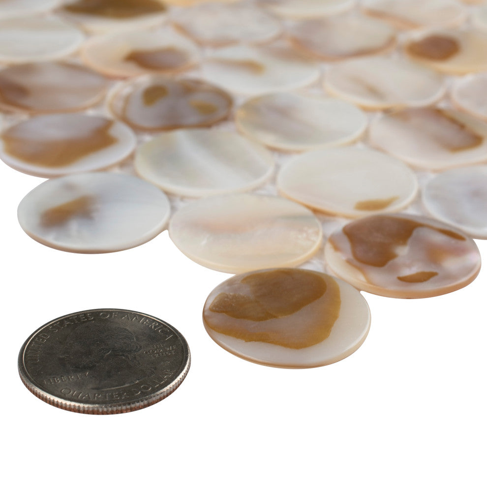Conchella Penny Mosaic Wall Tile, Natural