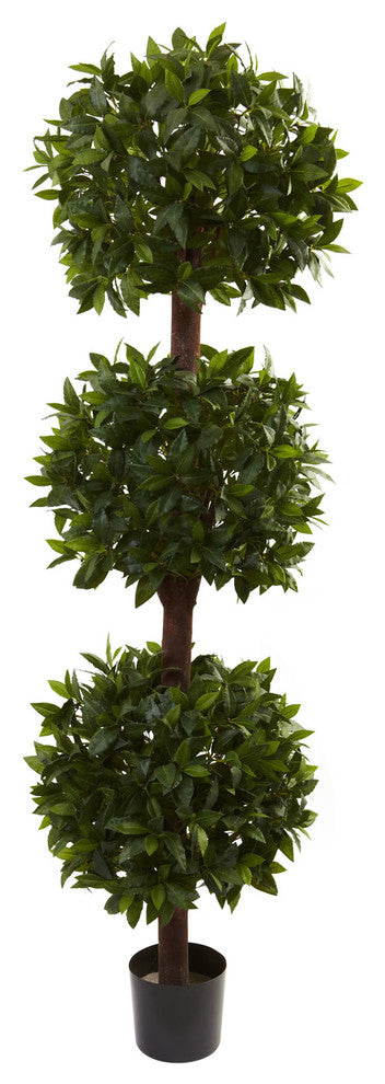 6.5' Sweet Bay Triple Ball Topiary