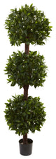6.5' Sweet Bay Triple Ball Topiary