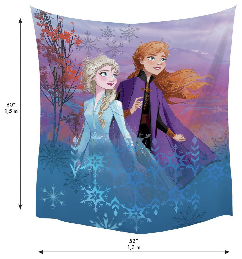 Disney Frozen Ii Destiny Awaits Tapestry